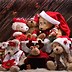 Image result for Baby Stuff Teddy Bear