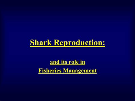 Image result for Sharks Reproduction