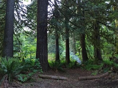 Swift Creek Campground in Mount Baker-Snoqualmie National Forest ...