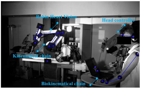 Specifying Inputs for the Computational Structure of a Surgical System ...