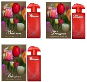 Buy tfz Blossom Perfume 100ml Each (Pack of 3) Eau de Parfum - 300 ml ...