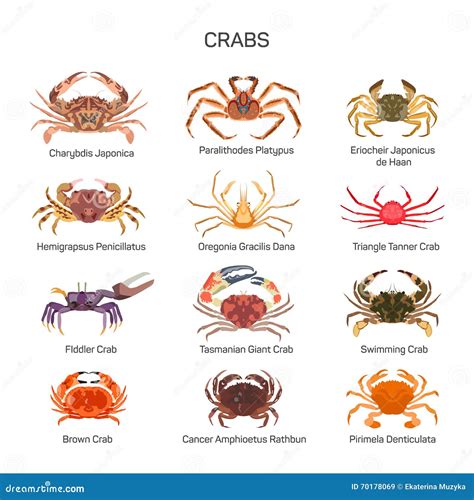 20 Different Types Of Crabs: Facts, Pictures Chart, 51% OFF