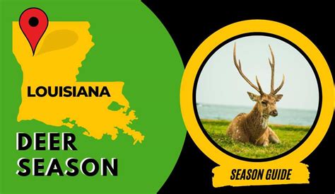 🦌Arkansas Deer Season 2025-2026 [Schedules, Licenses, Bag Limits & More!]
