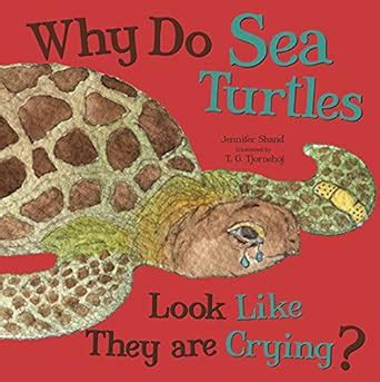 Why Do Sea Turtles Look Like They Are Crying? : Shand, Jennifer ...