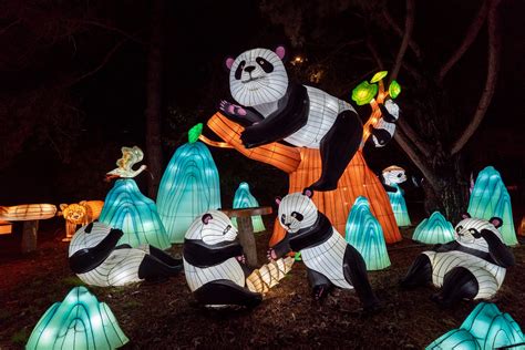 Reliving the Magic of WildLanterns at the Woodland Park Zoo — Converge ...
