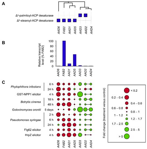 Acyl–Acyl Carrier Protein Desaturases and Plant Biotic Interactions