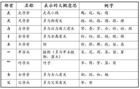 小学生常用部首名称知识大全（含例字）(2) - 上海学而思1对1