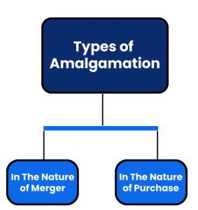 Overview of AS-14: Accounting for Amalgamation - Enterslice