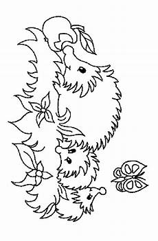 igel als malvorlage igel zum ausmalen malvorlagen malvor igel als malvorlage igel zum ausmalen malvorlagen malvor