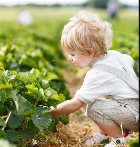 Xeriscaping San Diego — Teletype