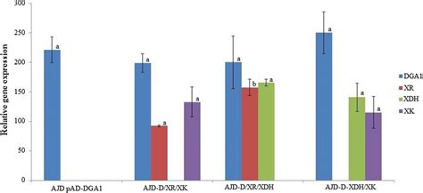 RNA Transcript Graph 的图像结果