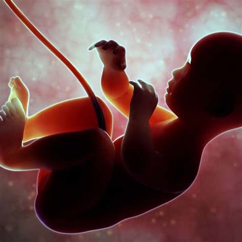 Obstetric and Perinatal Outcomes Following Elective and Emergency ...