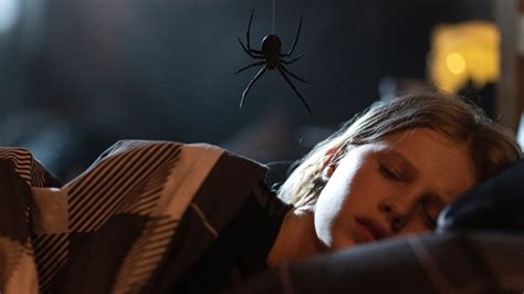 Gniazdo pająka Cały Film - Vider