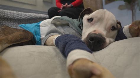 Investigator gives inside look at the Beltway Sniper case | wusa9.com