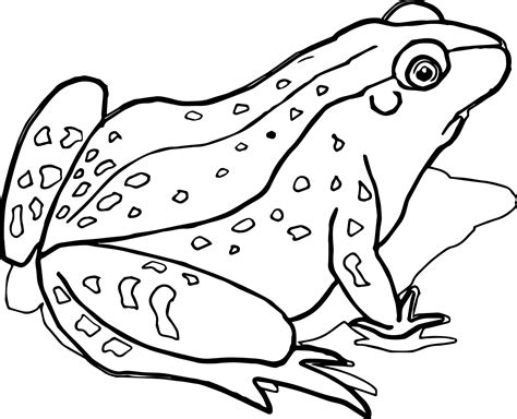 Realistic Frog Coloring Pages at GetColorings.com | Free printable ...