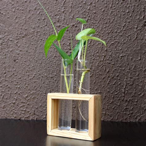 Buy VAH- Kya Bat Hai !! Wooden 2 Glass Test Tube Planter Modern Flower ...