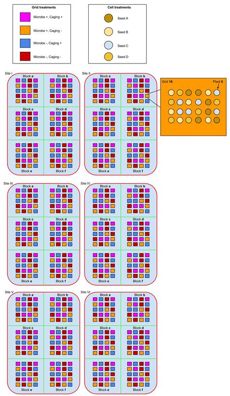 Split-Plot Design Anova 的图像结果
