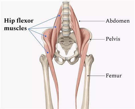 Knee Raise Exercises: Good for Abs or What? - This Is Why I'm Fit