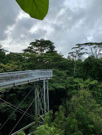 The Southern Ridges (Singapore) - 2021 What to Know Before You Go (with ...