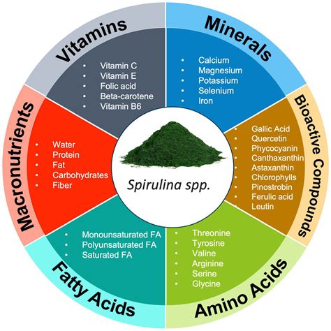 Macro & Micronutrient Secrets for Better Health in 2025