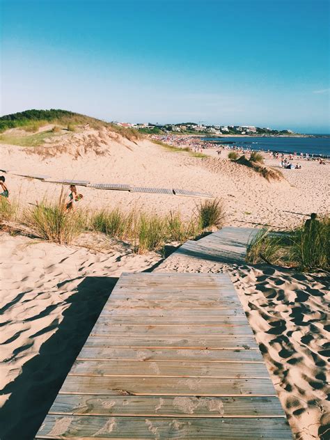 Beach 的图像结果