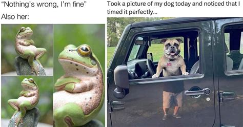 Image result for File Handling in Python Code