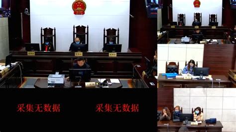 中国庭审公开网_百度百科