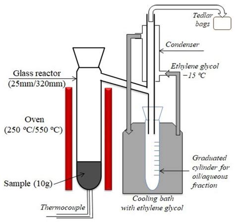 The Thermochemical Conversion of Forestry Residues from Silver Fir ...