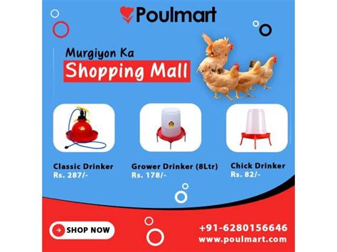 Poulmart | Murgiyon ka Shopping Mall - Panchkula Urban Estate ...