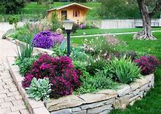 fiori perenni per aiuole i nostri lavori per aiuole e giardini pagina 0 fiori perenni per aiuole i nostri lavori per aiuole e giardini pagina 0