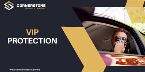 Image result for VIP Protection Techniques