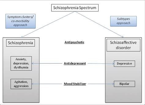 Schizoaffective Disorder: Treatment Considerations