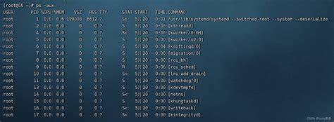 ps命令-显示Linux进程信息_使用ps命令显示所有用户的进程-CSDN博客