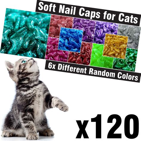 Amazon.com : zetpo 120 pcs Glitter Soft Cat Claw Caps for Cats Nail ...