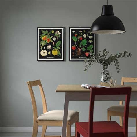 KNOPPÄNG frame with poster, vintage botanical fruit charts, 40x50 cm ...