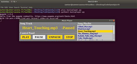 Musique Python 的图像结果