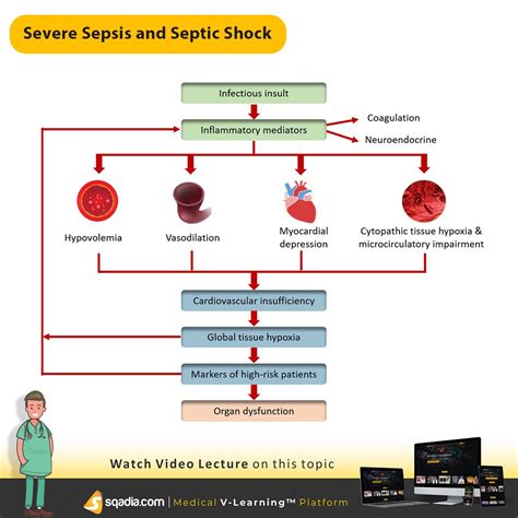 Infographic Sepsis And Septic Shock Difference Between Sepsis And