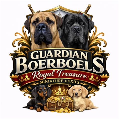 Royal Treasure Doxies by Royal Treasure Doxies & Guardian Boerboels ...