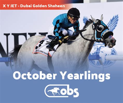 OBS Sales | Premier Thoroughbred sales venue in Ocala, Florida ...