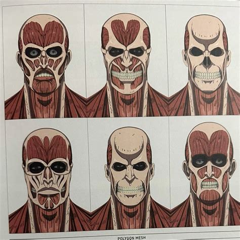 65 Colossal Titan ideas | attack on titan art, attack on titan anime ...