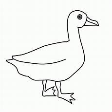 malvorlagen x reader frisch enten bilder zum ausdrucken mit bildern bilder malvorlagen x reader frisch enten bilder zum ausdrucken mit bildern bilder