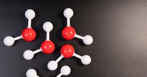 Particle Models 的图像结果