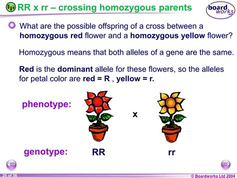General Biology 2 W3L3 Inheritance and Variations.ppt