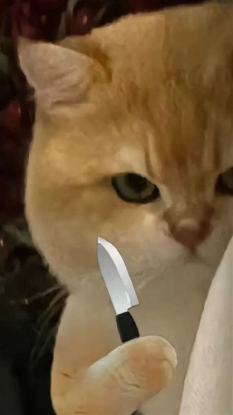 Orange Cat with Knife