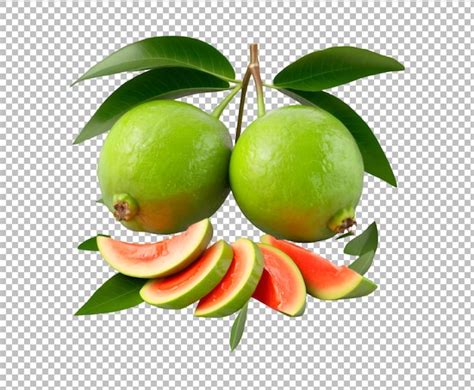 Image result for Guava Fruit Machine Learning Python Project