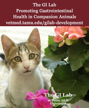 Contact Us - Gastrointestinal Laboratory