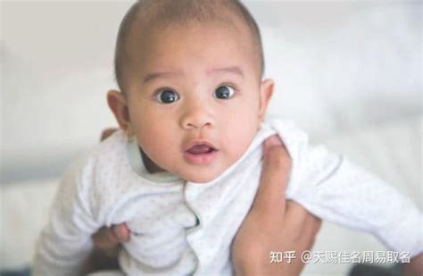 2023兔年男宝宝取名起名字大全：楚辞大气的男孩名字 - 哔哩哔哩