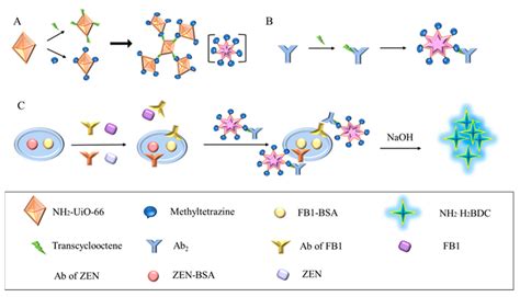 CLICK-FLISA Based on Metal–Organic Frameworks for Simultaneous ...