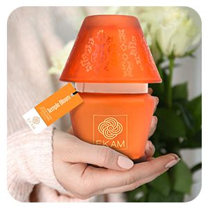 Buy EKAM Scented Frost Glass Lampshade Candle | Temple Bloom Scented ...