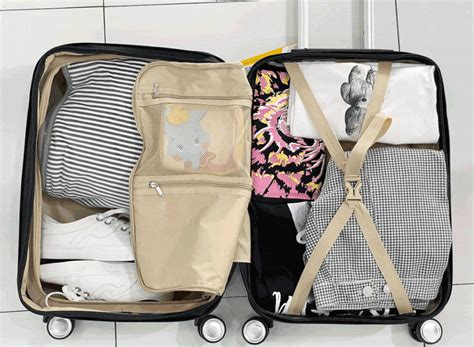 出差的带什么礼物最新素材